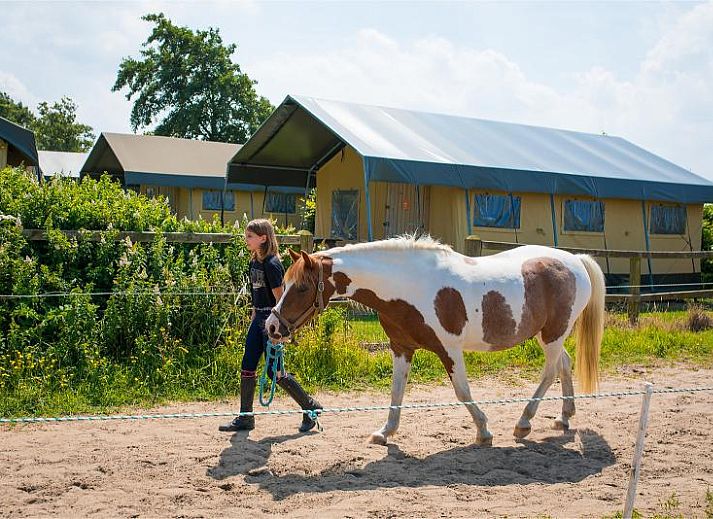 FarmCamps Fleur Stables