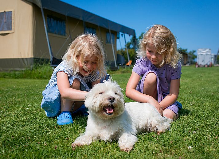 FarmCamps Fleur Stables