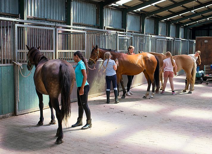 FarmCamps Fleur Stables