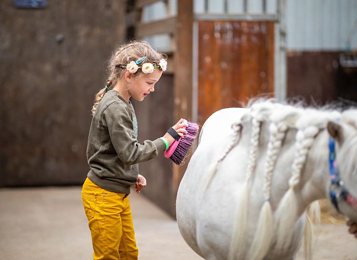 FarmCamps Fleur Stables