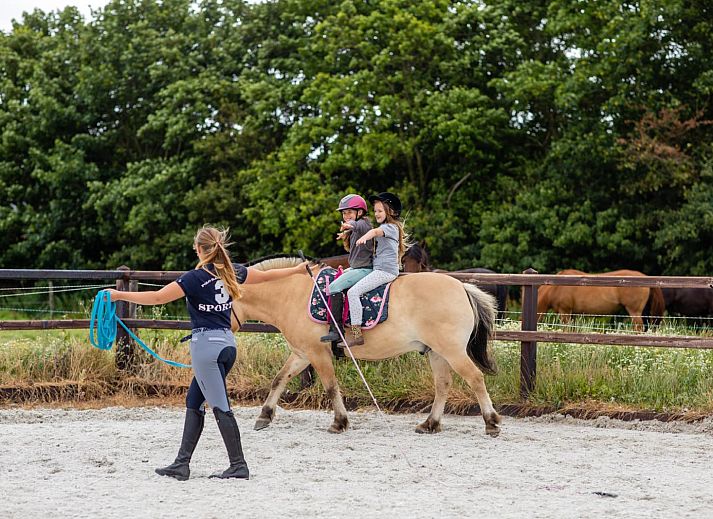 FarmCamps Fleur Stables