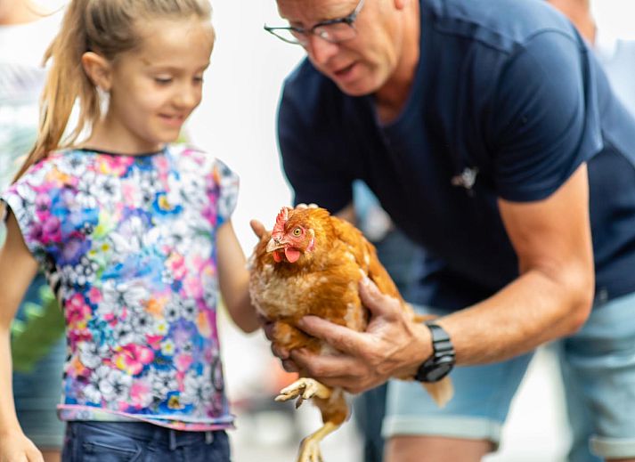 FarmCamps Fleur Stables