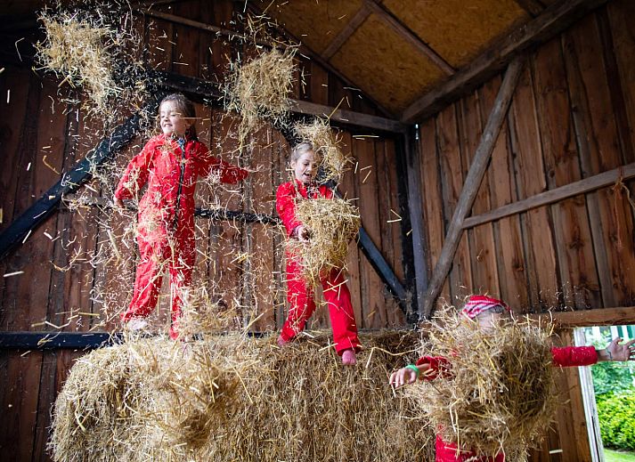 FarmCamps Fleur Stables