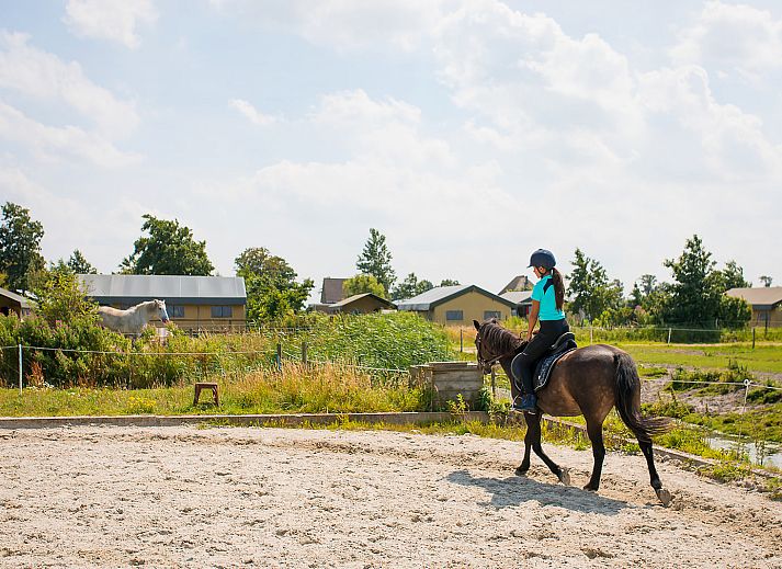 FarmCamps Fleur Stables