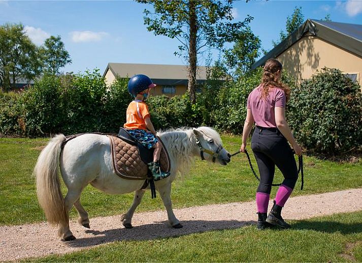 FarmCamps Fleur Stables