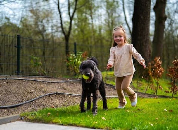 Vakantiepark De Rimboe en De Woeste Hoogte