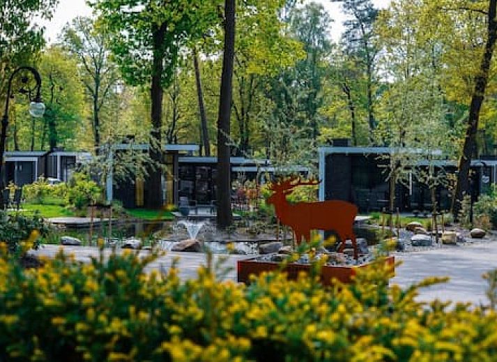 Vakantiepark De Rimboe en De Woeste Hoogte