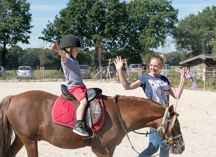 FarmCamps BoeBaDoe