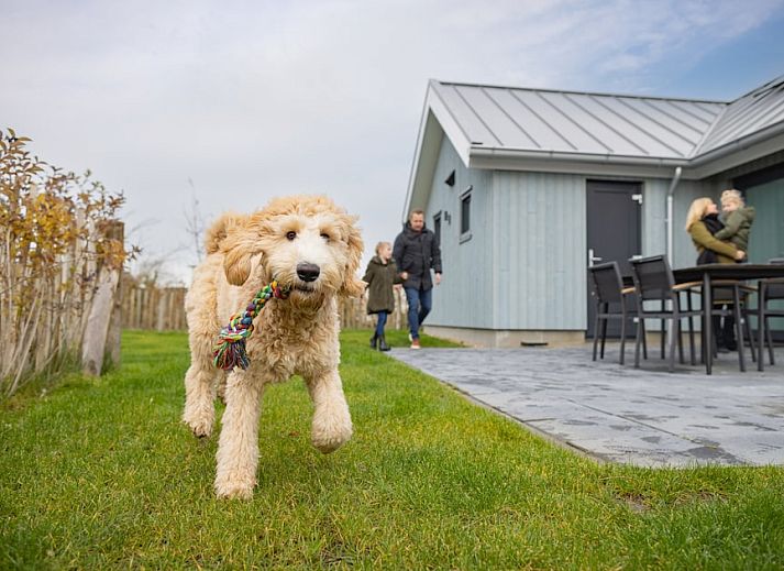 Beach Resort Nieuwvliet-Bad