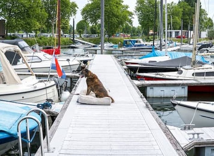 MarinaPark Bad Nederrijn