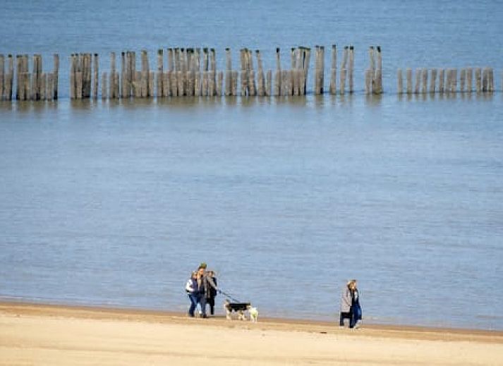 Dormio Breskens Apartments en Penthouses
