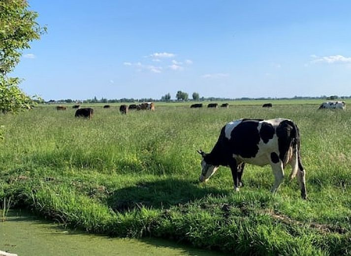 Camping de Grienduil