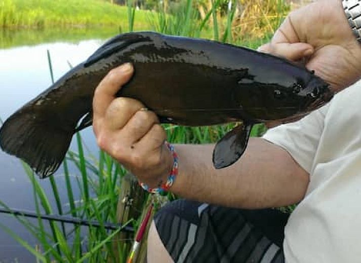 Camping de Grienduil