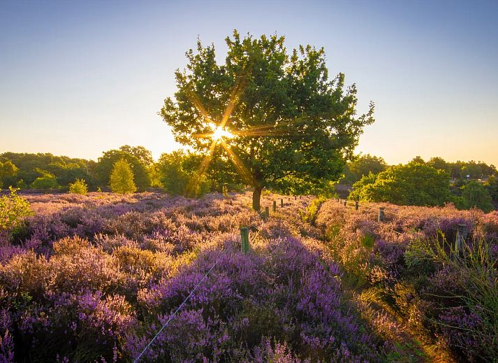 Landal Hunerwold State