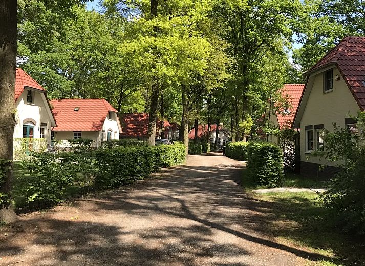 Recreatiepark De Tolplas