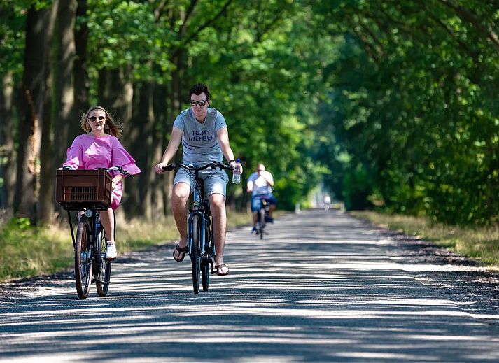 Recreatiepark De Tolplas