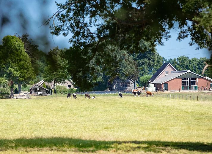 Recreatiepark De Tolplas