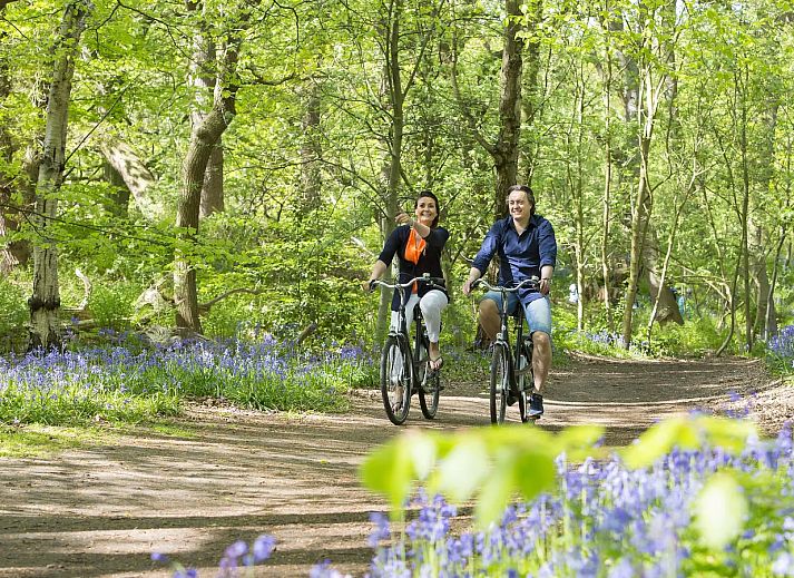 Recreatiepark De Tolplas