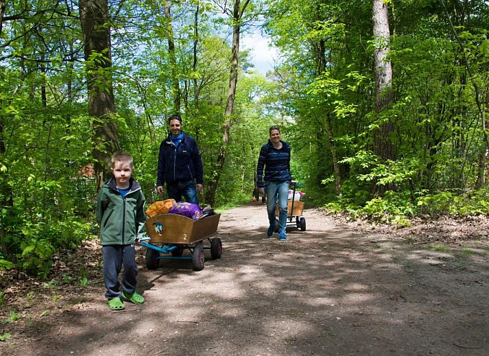 Vakantiepark De Wiltzangh