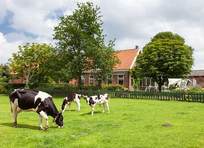 BoerenBed Hoeve Zeeland