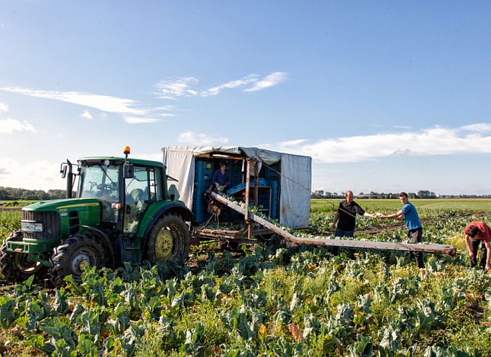 BoerenBed Hoeve Zeeland