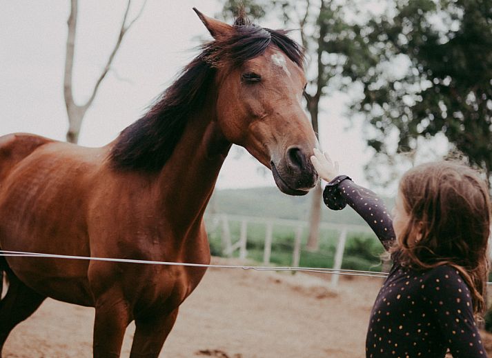 BoerenBed Hoeve Zeeland