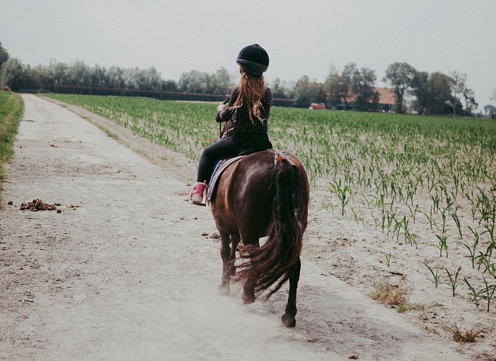 BoerenBed Hoeve Zeeland