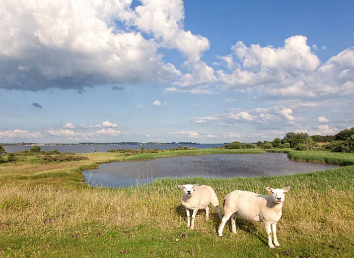 BoerenBed Hoeve Zeeland