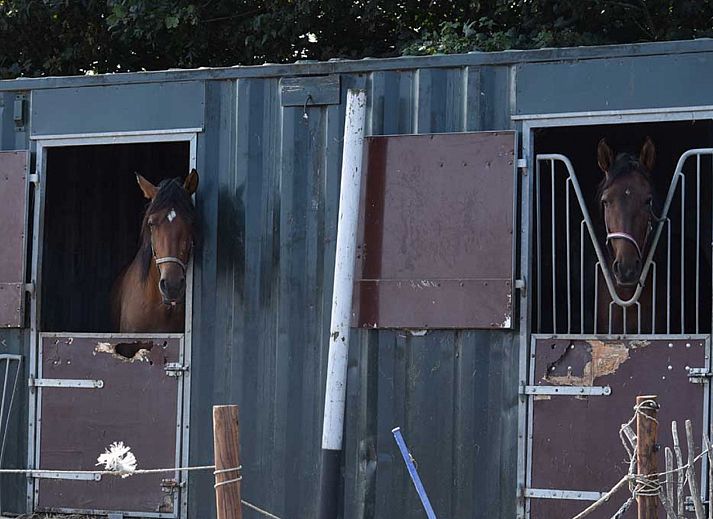 BoerenBed Hoeve Zeeland