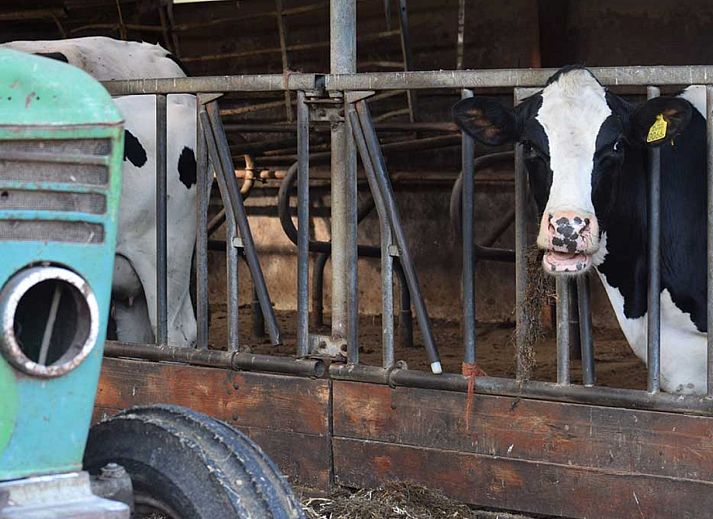 BoerenBed Hoeve Zeeland