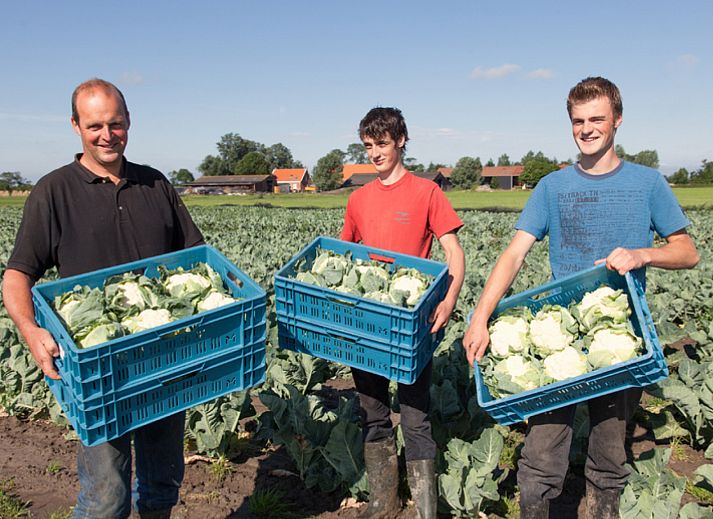 BoerenBed Hoeve Zeeland