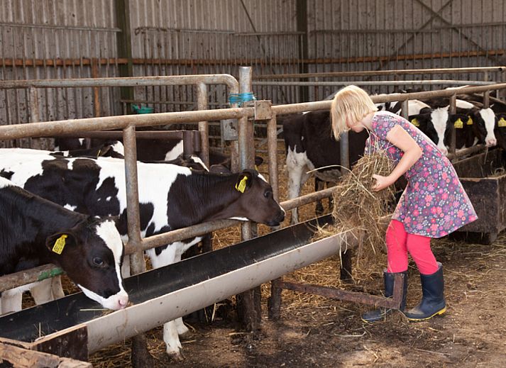 BoerenBed Hoeve Zeeland