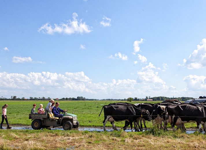 BoerenBed Hoeve Zeeland