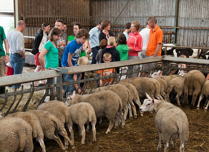 BoerenBed Hoeve Zeeland