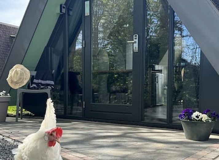 Hotelhuisjes Medemblik