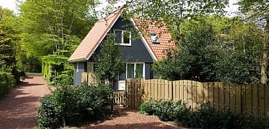 Guest house 060808 • Holiday property Friese bossen • Vakantiehuisje Gaasterland Oudemirdum 
