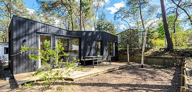 Verblijf 3230122 - Vakantiewoning Veluwe - Mos