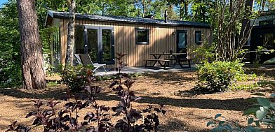 Verblijf 323099 - Vakantiewoning Veluwe - Steltloper