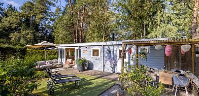Verblijf 324117 - Chalet Veluwe - Boschalet Stijn