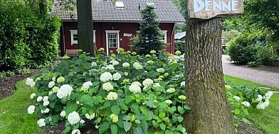 Guest house 325914 - Holiday property Veluwe - Boshuis Denne