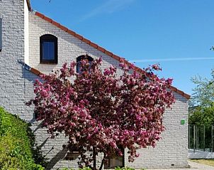 Guest house 01011038 • Bungalow Texel • Ferien-Perle lastminute