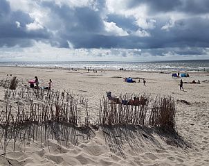 Unterkunft 01011038 - Ferienhaus Texel - Ferien-Perle