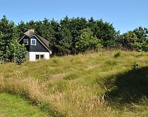 Velduil Unterkunft in De Cocksdorp Texel, in grner Umgebung gelegen.