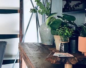 Decoratieve planten en houten meubels in Vakantiehuis De Muy, De Cocksdorp, Texel voor een natuurlijke sfeer.