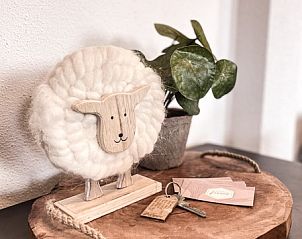 Decoratief detail in Vakantiehuis De Roggesloot, De Cocksdorp, Texel met Texelse schapendecoratie.