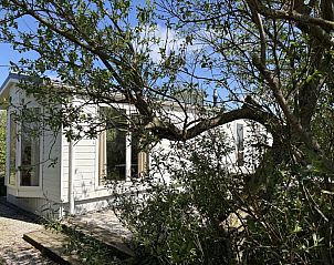 Unterkunft 010119 - Ferienhaus Texel - Chalet Meidoorn