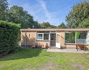 Bungalow Tamarisk 164 - Bartje in De Cocksdorp, Texel met zonnig terras en groene omgeving.