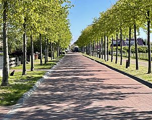 Pittoreske laan naar Vakantiehuis 34A in De Cocksdorp, Texel omgeven door bomen.