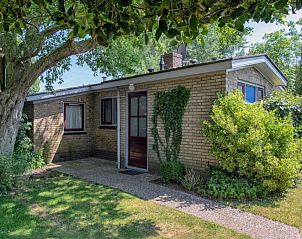 9600 - Daalder - Comfort vacation home in De Cocksdorp Texel with green garden and shady veranda.