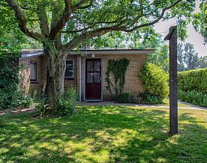Shady garden of 9600 - Daalder - Comfort vacation home in De Cocksdorp Texel with large tree.